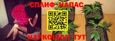 ALPHA-PVP Бийск